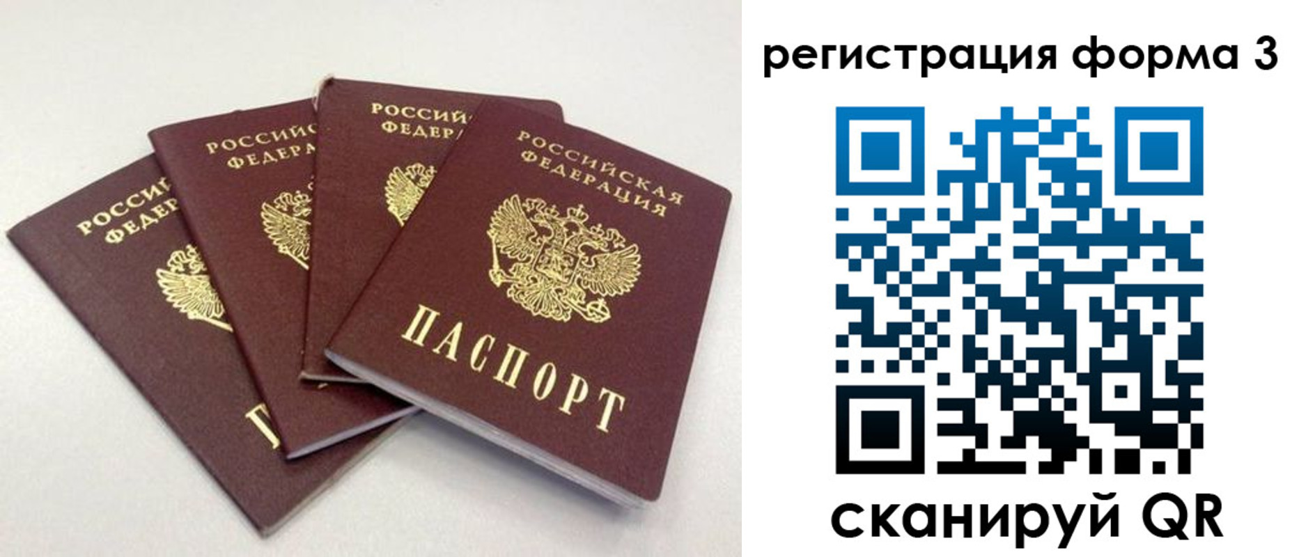 прописка 2025 в Стародубе